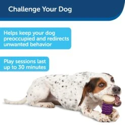 Busy Buddy® Nobbly Nubbly™ -PetSafe® bd62b6znq2dggbxru9xl 5cc99348 ea8d 4e9b a5d1 a29011903b69