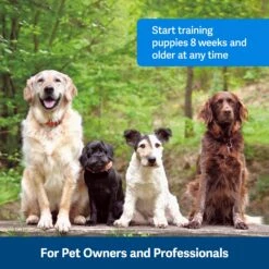 Clik-R™ Training Tool -PetSafe® bwpsnkvzbwjyhgdbswv8 2ad4d6eb d44d 4dfd 85a2 40ad827071a1