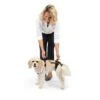 CareLift™ Support Harness 2 CareLift™ Support Harness -PetSafe® cde3j6ifuedct2gakyiw 6f14a98e 6891 4424 bfa2 48d4bf170ce1