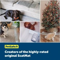ScatMat® Indoor Pet Training Mats -PetSafe® cgk8girbcv7m0w1aljxi a8d2ec9f 890f 4da0 b0d9 9a221fca6500