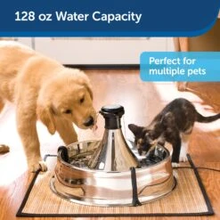 Drinkwell® Stainless Multi-Pet Fountain -PetSafe® cgpnnhvjshsv2pcv8lb4 ec8de1ab 9dd9 4d02 9b76 8a130aca7b37