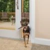 Freedom® Aluminum Patio Panel Up To 96 Inches -PetSafe® cmed3uh87wjd56ix9xrd 82c766e7 00a7 4799 b761 0e6b6d94b574