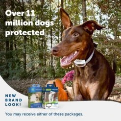 Classic In-Ground Fence™ Rechargeable Receiver -PetSafe® ddlouoejxjgsmkgstumf 3238cbcc 4fdd 462f a42d 0e47e568c0d7