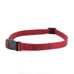 3/4" Rust Replacement Collar Strap With No Holes -PetSafe® dedfp9ylzaojgbl6jna3 fb9acbc9 a08a 45ab a76d d3f1cff93b0c