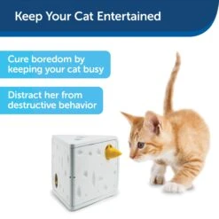 Cheese Automatic Cat Toy -PetSafe® dkmde5prtmfcbiswegyn