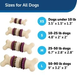 Busy Buddy® Bristle Bone® -PetSafe® e3gguwelxrkg7dva9be7 d647a484 db34 4f0c 8326 a54abb06a53d