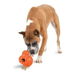 Busy Buddy® Barnacle -PetSafe® eComm ATF Toys TreatDispensingToys Sportsmen Barnacle L Hero