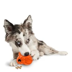 Busy Buddy® Barnacle -PetSafe® eComm ATF Toys TreatDispensingToys Sportsmen Barnacle M