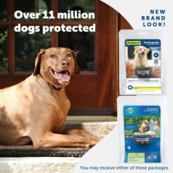 Rechargeable In-Ground Fence™ Receiver Collar 13 Rechargeable In-Ground Fence™ Receiver Collar -PetSafe® eefbbf4duphfh6iasrai 4d09ee16 1d49 4aaa b35f 73547aa4e538