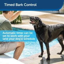 Elite Outdoor Bark Control -PetSafe® el2whlywaqsnqs9fve7c f6224d6e 8c45 480c 810e 6799c917816e