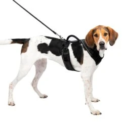 EasySport Harness 28 EasySport Harness -PetSafe® epme7riiyk6tti0jatae 8055740d ea26 4c07 b23d 85f310089117