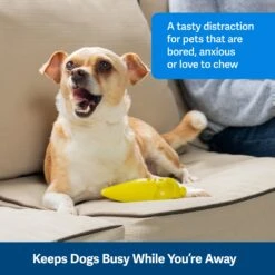 Frosty Cone 10 Frosty Cone -PetSafe® ezl5x2gpm2ue8aalksex 9c0f0132 7385 4422 abd7 db0cadb3acf2