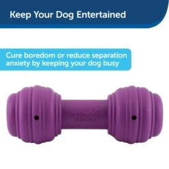 Busy Buddy® Chuckle™ -PetSafe® fkkcpnnqcbhlp4paaxw6 c70eee75 35e7 4871 a534 51fa59394654