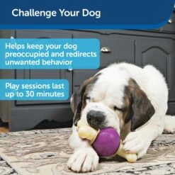 Busy Buddy® Bouncy Bone™ -PetSafe® fncjnmviukuq1pvd1ujb abf7a4e9 31d2 4e90 a903 20adfa070afe