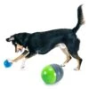 Ricochet Electronic Dog Toy 2 Ricochet Electronic Dog Toy -PetSafe® fnpld700hbyxmmclnxjv f79c410e f365 45d9 8e5b edf030aa12fe