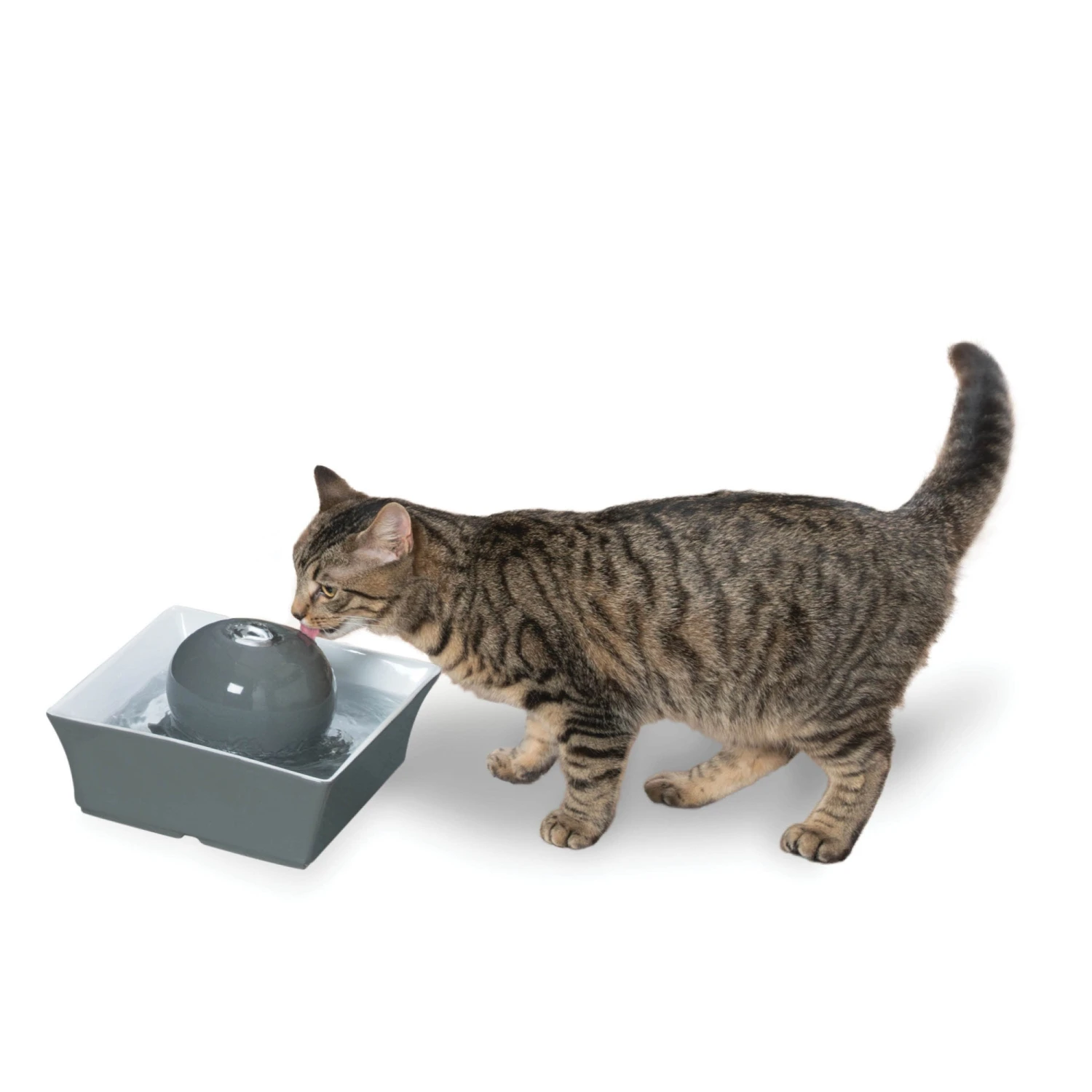 Drinkwell® Seascape Pet Fountain 3 Drinkwell® Seascape Pet Fountain