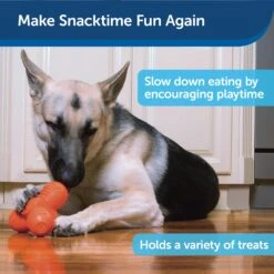 Busy Buddy® Squeak ‘n Treat Troog -PetSafe® fsv8rrbsnzofbb06tiwy bbe72bd0 e004 42a3 b8b7 107c949fbbf0