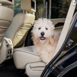 Happy Ride® Dog Ramp Adaptor -PetSafe® fwzchpyjt3hqdnvimxsu d22a78c8 3ecc 49cd ac51 271be2b7be35