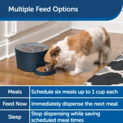 Six Meal Feeder -PetSafe® fxrxrtylruatfqa0xx46 a07f6585 a4ca 41d3 891e 71260b136fa7