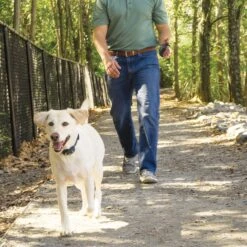 Remote Trainer Transmitter Hand Strap -PetSafe® gapsabn2v4uzzadlqps2 1a21cddf 24fb 493a be26 4eb5bfff4731