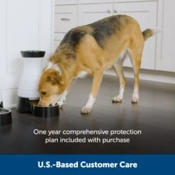 Healthy Pet Food Station™ -PetSafe® gmiz7svoi619hmuh9dca 15be08e6 b55d 45cd a0ce 2426565c0d29