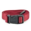 3/4" Rust Replacement Collar Strap With No Holes -PetSafe® go6rorym74rwniq6odas 73a6231b 6f1f 4da4 8c42 05e1e0721429