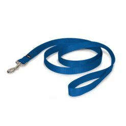 Nylon Leash -PetSafe® grjkdaaazccwrfiq55hw 56431978 658b 4a0c b583 d4d289c961e8