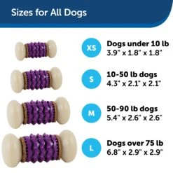 Busy Buddy® Nobbly Nubbly™ -PetSafe® gscveiil29h1l72dnhwz 4b4d5929 717f 42a2 9b3c 681d18042916