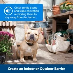 Pawz Away® Extra Receiver Collar 12 Pawz Away® Extra Receiver Collar -PetSafe® gujikfhnkhpwyo8bnoqc 8d3284de 6f96 4c0b 8ef3 803f6bd6adb2