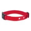 Replacement Collar Strap With 2 Holes -PetSafe® hank6ujsya7lre2vod7f 2ee3f55c 9dd7 4490 9fe5 d0ea34cd2d8d