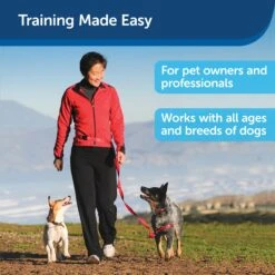 Treat & Train™ Remote Reward Dog Trainer -PetSafe® hmb6bso1c1ocrhlfya47 2d784301 84da 41eb 82ce 593b41ddf7b6