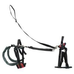 CareLift™ Support Harness -PetSafe® hstzkgu0u1mtjf5osotn 28e86460 9950 4aaf 81b2 6f30a714e1c9