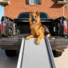 Happy Ride® Extra Long Telescoping Dog Ramp -PetSafe® hykyelrtj8vvthkt38pp 268730ca 840f 42dd 94f5 dbe181211eca