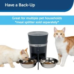 Stainless-Steel Bowl -PetSafe® hzusraywzn4ip3mo0dd7 179330cf aa8c 4ce8 b5d5 0993ef787c25