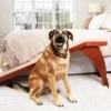 CozyUp™ Bed Ramp -PetSafe® i31m76xui0bthxei1zda 2bfd232b d115 4979 81c1 9c0d6a4a4e64