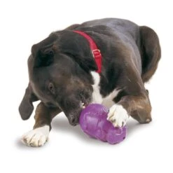 Busy Buddy® Squirrel Dude™ 10 Busy Buddy® Squirrel Dude™ -PetSafe® i6fcbycw6kuxyqqb6e0v 208badce c11b 47f1 98a6 81aa687d6204