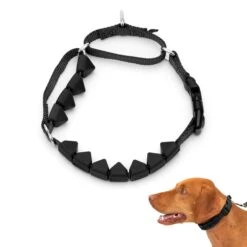 Soft Point Training Collar 14 Soft Point Training Collar -PetSafe® io5ckkldnowr0rmfhs5r b2ef82b0 7857 4620 939e b072c9409335