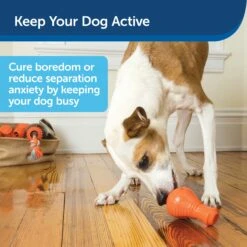 Squeak 'n Treat Booya 11 Squeak 'n Treat Booya -PetSafe® iqoay7m5i0twajoffcve 3977a620 f7d5 4743 8cb9 94e7164a9d6c