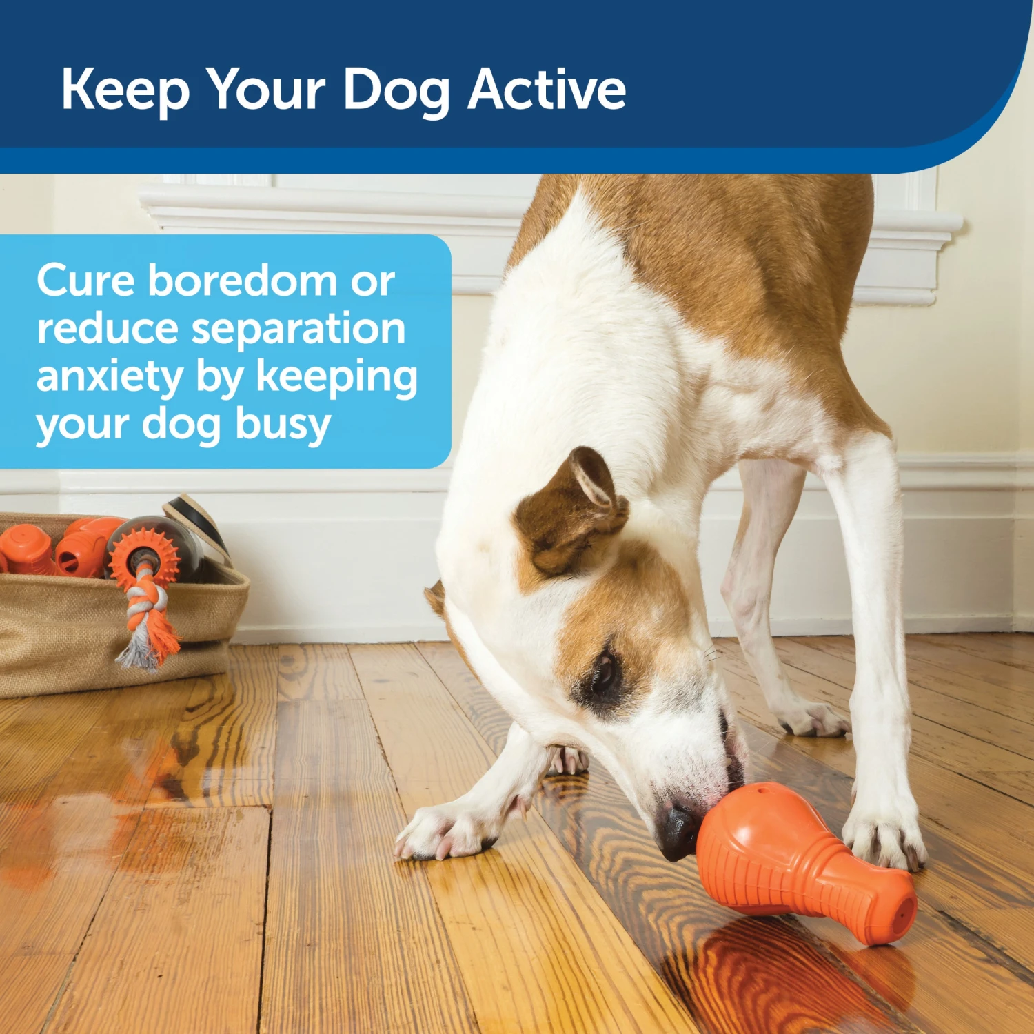 Squeak 'n Treat Booya 5 Squeak 'n Treat Booya - Image 3