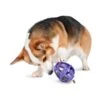 Busy Buddy® Kibble Nibble™ -PetSafe® jlzhlqcjbfr04xnqrkaz 237d3580 ba01 4a7b a5fb 462b710c87df