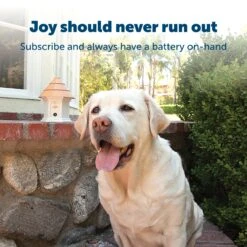 Replacement 9-Volt Battery For In-Ground Fence Collar -PetSafe® kafext7duardbejkuyht