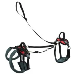 CareLift™ Support Harness -PetSafe® khsjo7hxl18exis6jlxe 32685fcc 3300 4a3c 889e 8ed3e1dc0121