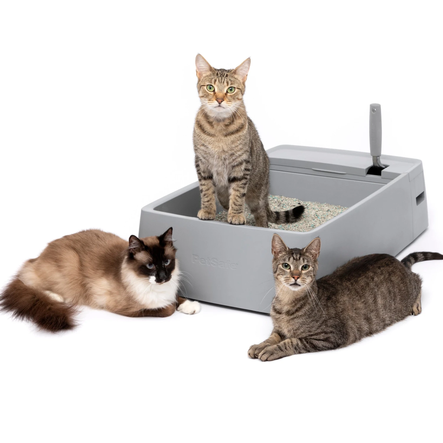Multi-Cat Litter Box 3 Multi-Cat Litter Box