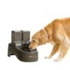Drinkwell® Outdoor Dog Fountain -PetSafe® kup62ia3oensmgvsmu0b 1a340ef7 d47d 4a8b 9a2b e48757bddd9f