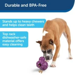 Busy Buddy® Barnacle -PetSafe® kxggjfc1vyfzlyhqkd0n 66700491 6e21 4bd2 85d4 6bc8d0031223