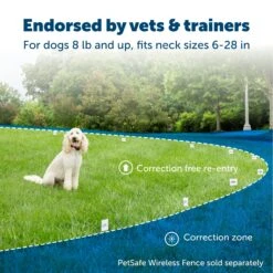 Wireless Pet Containment System™ Extra Transmitter -PetSafe® kxzqvlrquni1gjv2bjua 7c3f061b a092 48ec aaa5 2b35598e5f82