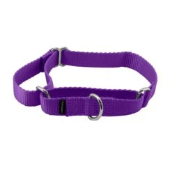 Martingale Collar 29 Martingale Collar -PetSafe® kyrrhbvpfqvlaalzzfzb 1e0abf6b a62e 4b74 9dd0 881a44633f08
