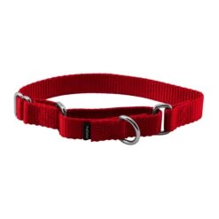 Martingale Collar 35 Martingale Collar -PetSafe® l13qfctcdap6ka6rqh7f eb387f4f 7e71 4f76 a4f0 b452e7c9bddf