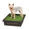 Pet Loo™ Pet Toilet -PetSafe® lbxehuullmgde6cjollx 13408865 4ff1 4ee3 9e5b decefc05b6b6