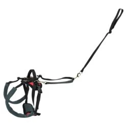 CareLift™ Rear Support Harness -PetSafe® lisj8jil9hpir8wtji9s d253ff7e e5ce 4d16 ab92 277e9e6dcd53